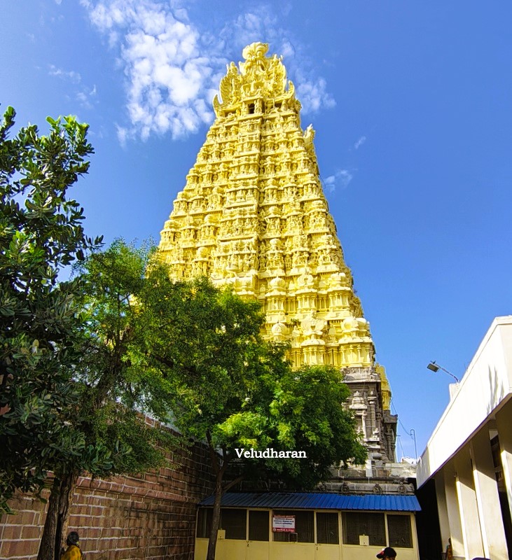 About Image gallery marquee