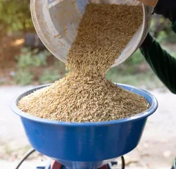 5kkgfaeqyz rice mills 5 r0c75 250